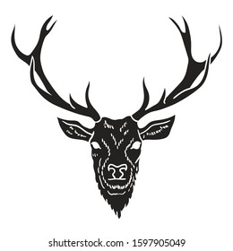 Deer Head Hand Drawn isolated on white Background. Vector illustration
