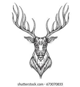 Deer head. Hand drawn, sketch style. Outline vector illustration isolated on white background for printing on T-shirts, posters, tattoos and other items.