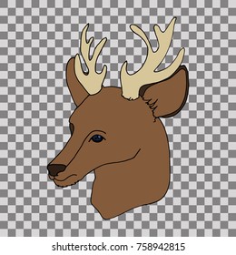Deer head. Hand drawn vector stock illustration. Transparent background