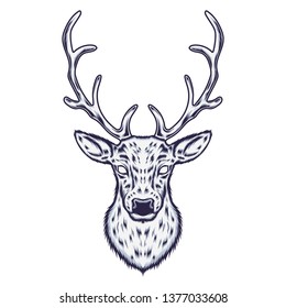 Deer head Illustration