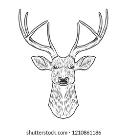 Deer head illustration, drawing, engraving, ink, line art, black vector 