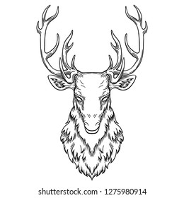 Deer head illustration, drawing, engraving, ink line art vector
