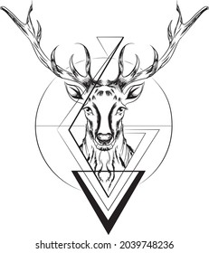 Deer head illustration, drawing, vector, white background