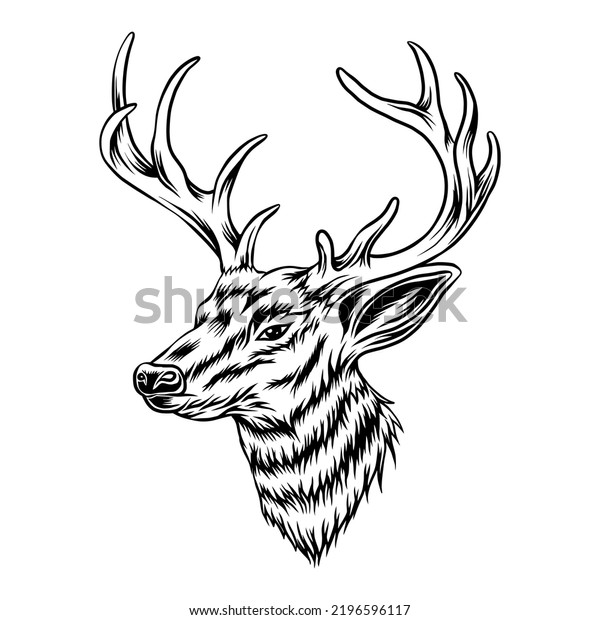 Deer Head Illustration Shillouette Vector Stock Vector (Royalty Free ...