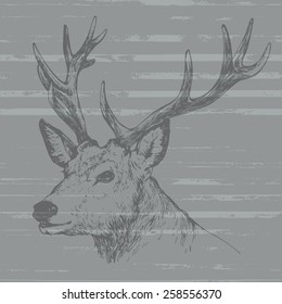 deer head ink sketch on grunge background