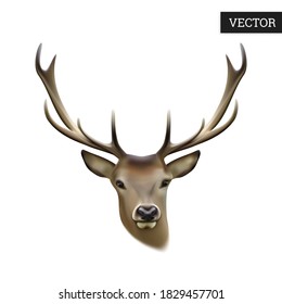 Deer head isolated on a white background. Realistic stag. Vector illustration 3D. Macro icon wild animal. Design element in natural style. Stock.