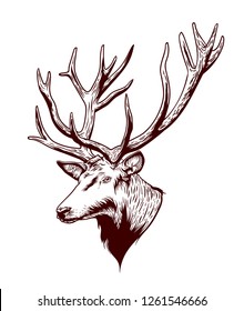 Deer head logo vector