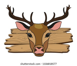 Deer head on the background of boards. Vector illustration.
