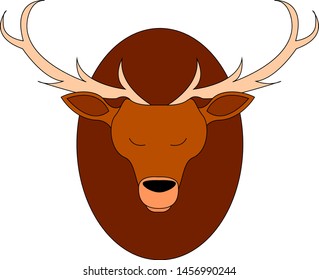 Deer head on a wall, illustration, vector on white background.
