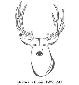 Deer head on white background