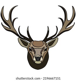 Deer head. Portrait of wild cattle, animal. Isolated on a white background. Design element for logo, poster, card, banner, emblem, t-shirt. Vector illustration.