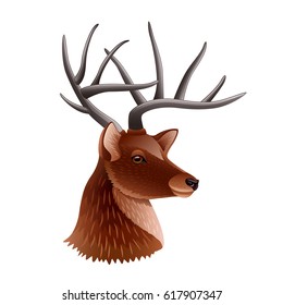 Deer head profile isolated on white photo-realistic vector illustration