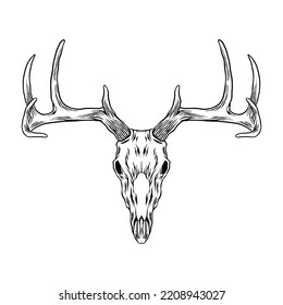 Deer head skull vector art