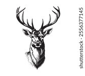 Deer Head, Deer vector Illustration - VECTOR, 