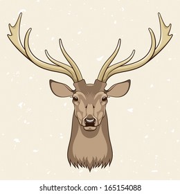 Deer Head, Vector Illustration