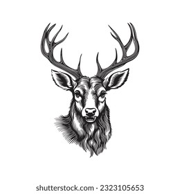 Deer head vector illustration on a white background. Vintage deer illustration