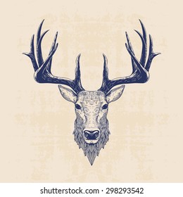 deer head, vintage hand drawn illustration