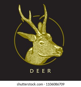 Deer head - yellow drawing isolated on black background.
Vector illustration of stags deer head in vintage style, graphic engraving design element for logo, pattern portrait of cute animal. 