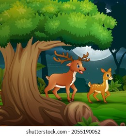 A deer with her cub in the forest at night