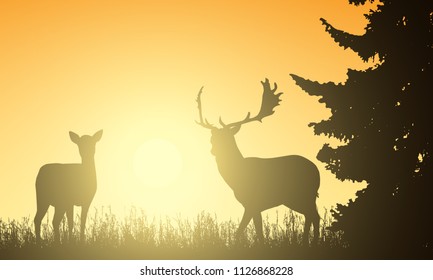 Deer and hind in a meadow with a tree, with the rising sun behind the background - vector