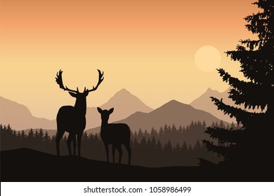 Deer and hind in a mountain landscape with coniferous forest and trees, under the morning sky with the rising sun - vector