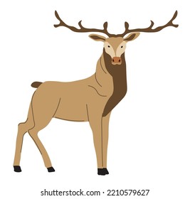 Deer hoofed grazing character with branched bony antlers. Isolated creature with fur on skin. Forest woods animals, wildlife and natural fauna. Nature and wilderness. Vector in flat style illustration