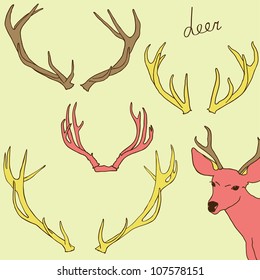 deer horns