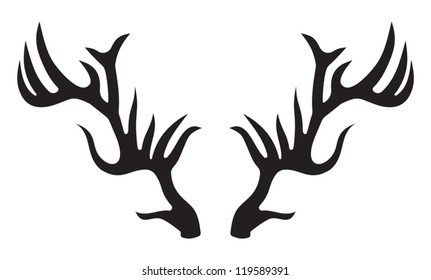 deer horns