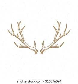 Deer Horns hand drawn logo emblem template vector vintage design element.