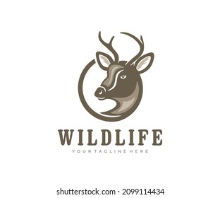 Deer with horns, deer head, animal and nature, logo design. Hunting, hunt, wildlife, vector design and illustration