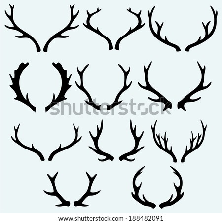 Deer horns. Isolated on blue background