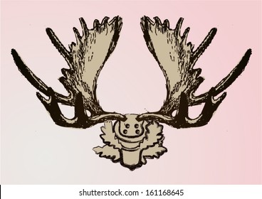 Deer horns on the wall vector illustration. Hand drawn.
