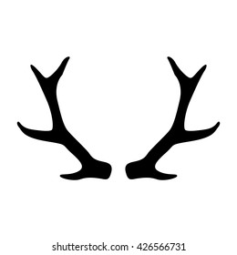 deer horns on white background