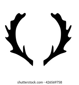 deer horns on white background
