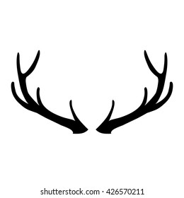 deer horns on white background
