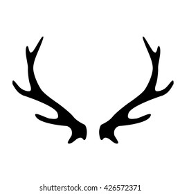 deer horns on white background