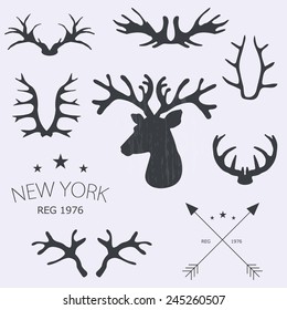 Deer horns set. Vector illustration.
