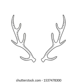 Deer horns. Vector linear freehand illustration in doodle style.