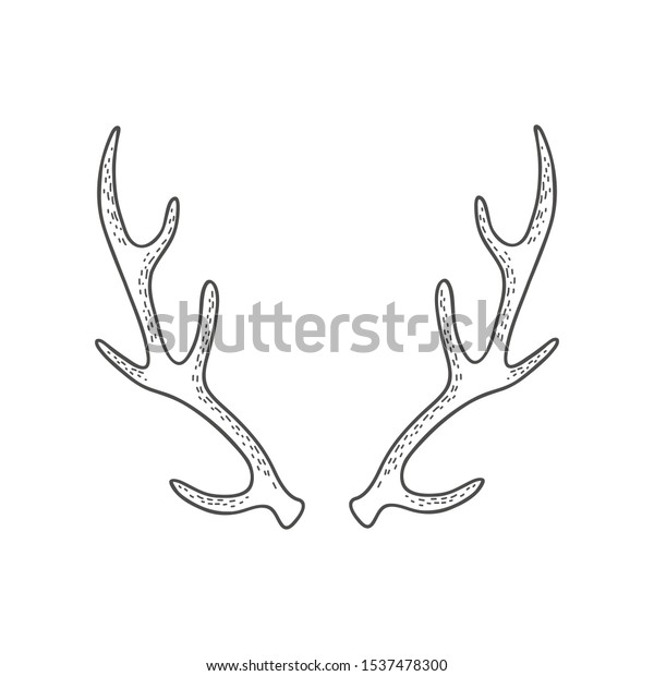 Deer Horns Vector Linear Freehand Illustration Stock Vector (Royalty ...