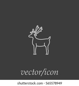 deer, icon
