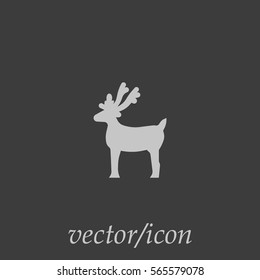 deer, icon
