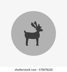 deer, icon