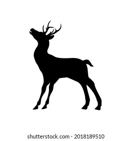 Deer icon design template vector isolated illustration