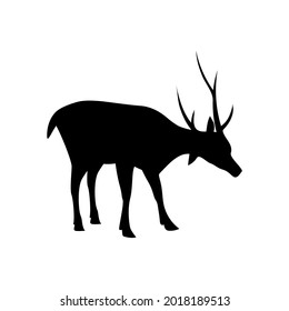 Deer icon design template vector isolated illustration