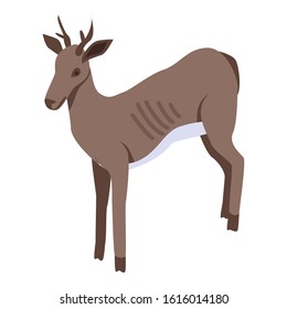 Deer icon. Isometric of deer vector icon for web design isolated on white background