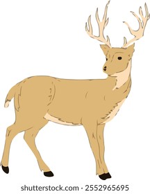 deer icon logo vector illustration