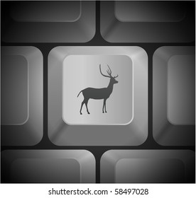 Deer Icon on Computer Keyboard Original Illustration