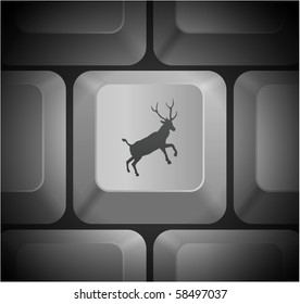Deer Icon on Computer Keyboard Original Illustration