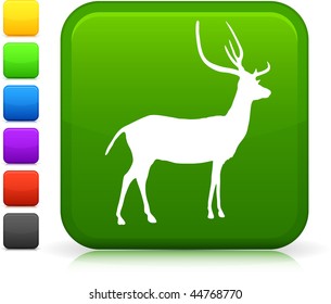 Deer Icon on Internet Button Original Vector Illustration