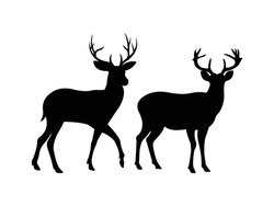 Deer Icon Vector. Deer Silhouette Isolated On White Background. Vector Illustration